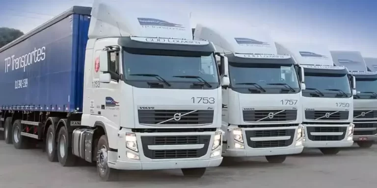 Motorista de Distribuição CNH D em Louveira - TP Transportes