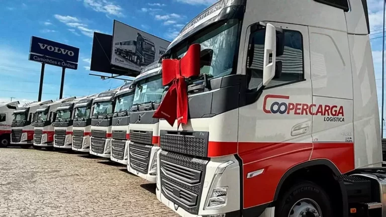 Motorista Carreteiro Coopercarga em Guarujá/SP | Vaga 711