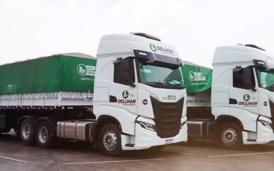 Vaga: Motorista de Carreta Dellmar – Viagens Interestaduais