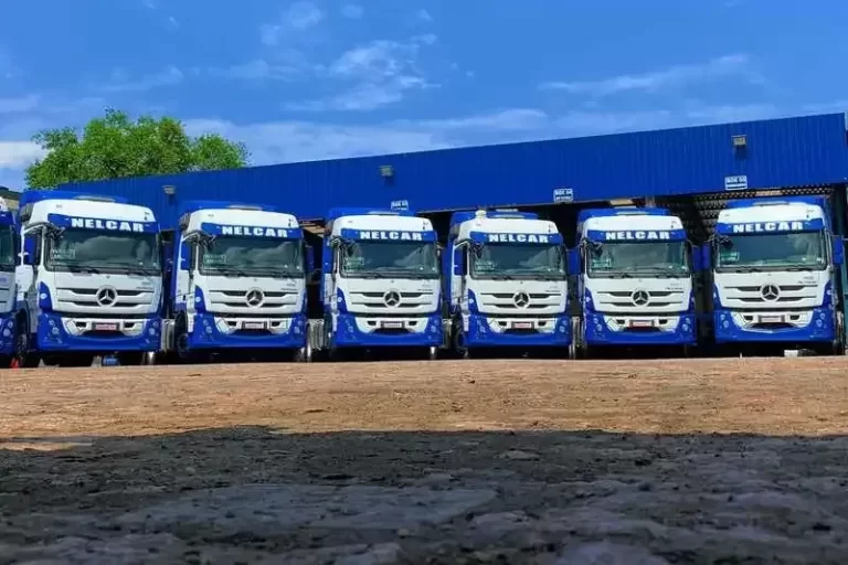 Nelcar Transportes: Motorista Bitrem e Rodotrem Baixada Santista