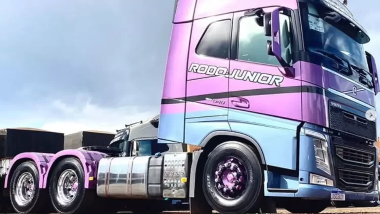 Vagas Motorista Carreteiro Rodojunior - 8 Estados | CNH AE