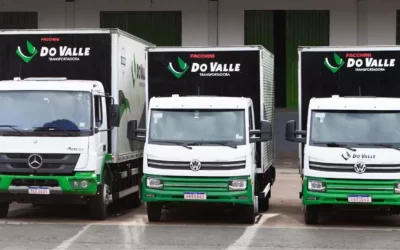 Vagas Transportadora Do Valle: Motoristas CNH D e Apoio em Goiás