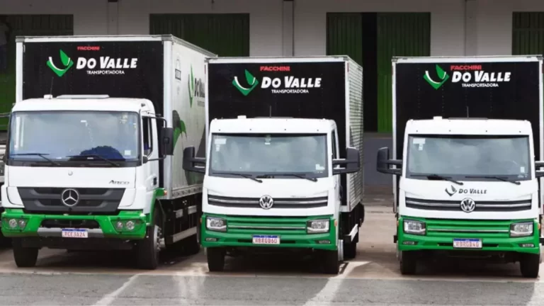 Vagas Motorista CNH D e Apoio na Transportadora Do Valle (Goiás)