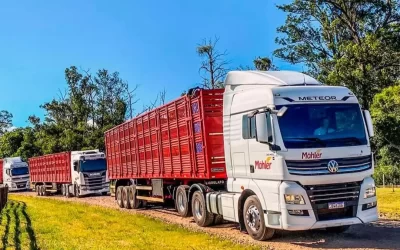 Vagas para Motorista de Carreta em Santa Cruz do Sul – RS