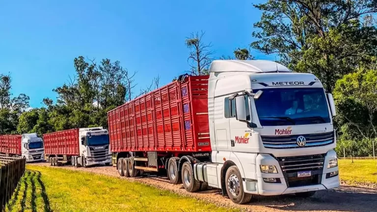 Vagas Motorista de Carreta – Transportes Mahler (Santa Cruz do Sul)