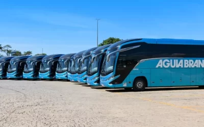 Águia Branca Abre Vagas para Motoristas de Ônibus em SP