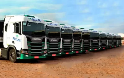 Belluno Logística Contrata Motoristas Carreteiros em MT