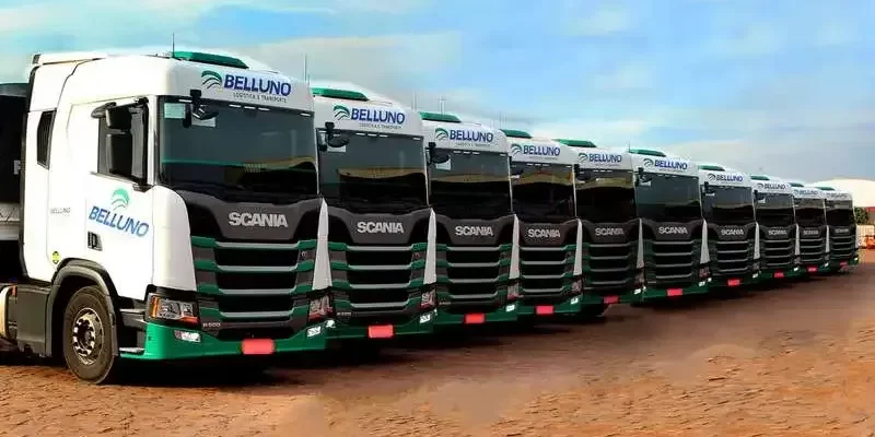 Belluno Logística Contrata Motoristas Carreteiros em MT