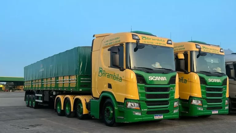 Vaga Motorista Carreteiro Folguista Brambila Transportes SC/RS