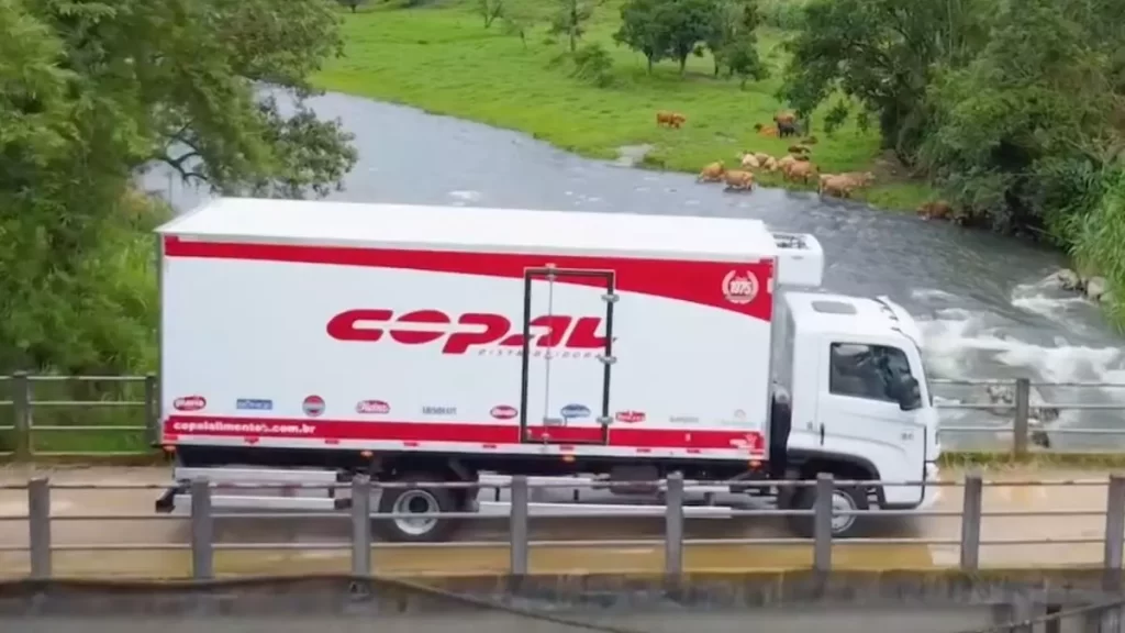 Motorista CNH C, D ou E | Copal Distribuidora em São José, SC