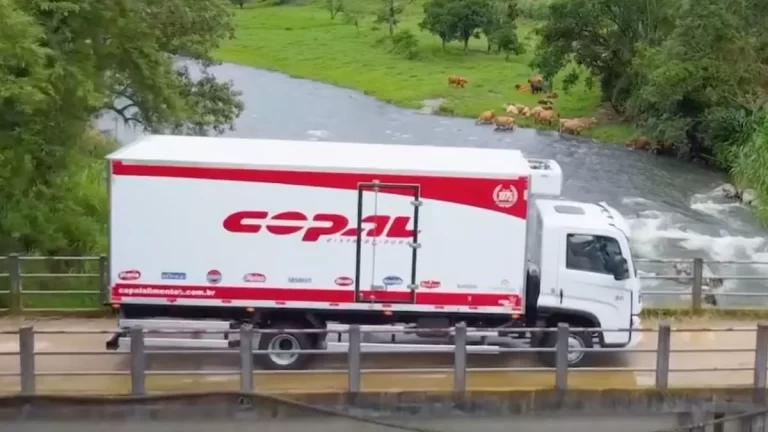 Motorista CNH C, D ou E | Copal Distribuidora em São José, SC