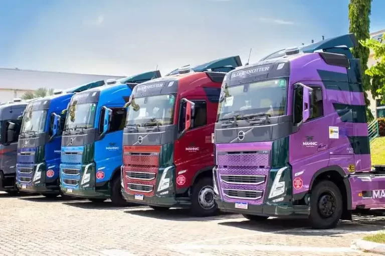 Mahnic Soluções Logísticas: Motoristas Carreteiros em GO – Vagas!