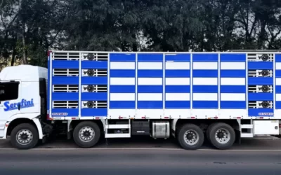 Agrosuínos Serafini Contrata Motorista Truck em SC/RS