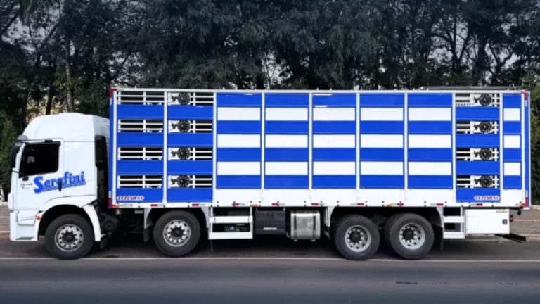 Motorista Truck Agrosuínos Serafini - Vagas em SC/RS