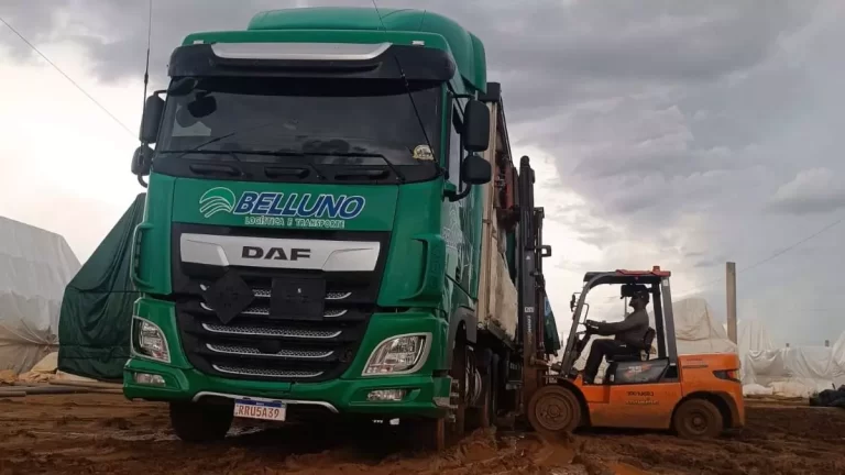 Vagas Motorista Sider Belluno Logística Rondonópolis/MT | CNH E