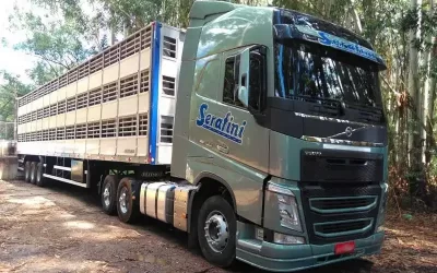 Serafini Transportes abre vagas para Motoristas C e E em SC e RS