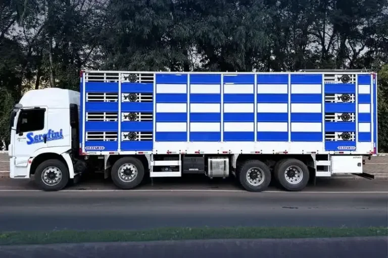 Serafini Transportes: Vagas de Motorista Bitruck em SC – Candidate-se!
