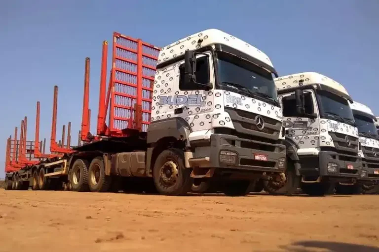 Budel Transportes: Vagas para Motoristas Carreteiros Florestais em SP