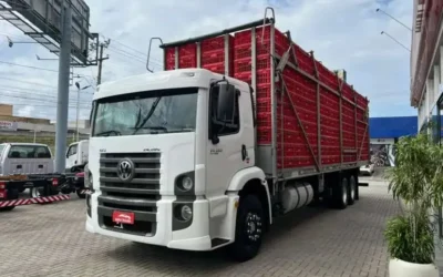 Comelli Transportes abre vagas para Motoristas de Carga Viva em Jataí (GO)