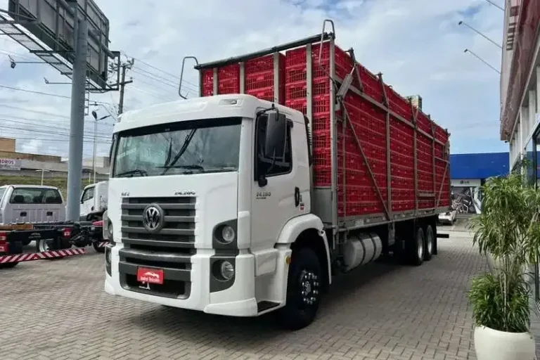 Comelli Transportes: Vagas para Motoristas de Carga Viva em Jataí (GO)