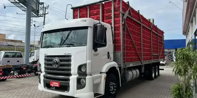 Comelli Transportes abre vagas para Motoristas de Carga Viva em Jataí (GO)