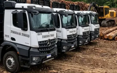 Francatto Transportes Contrata Motoristas Carreteiros em Arapoti (PR)