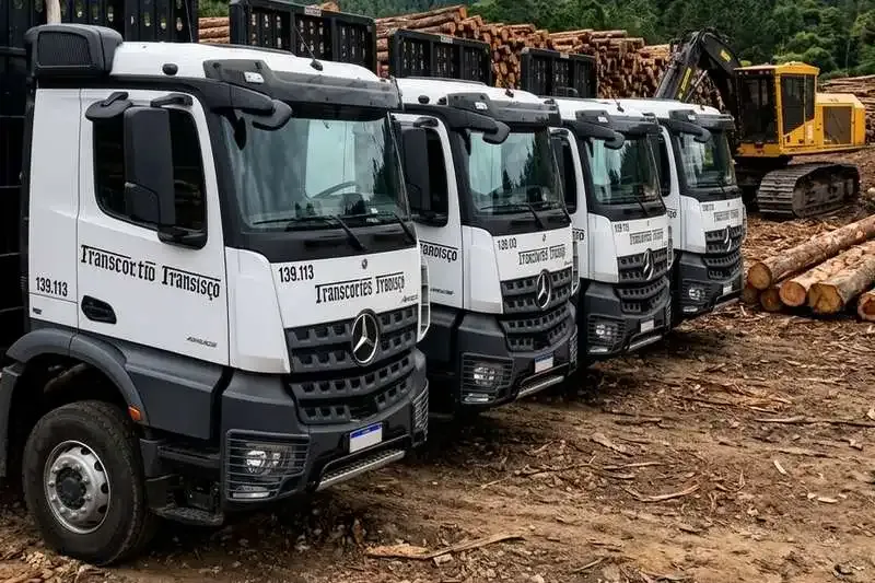 Francatto Transportes: Vagas para Motoristas Carreteiros em Arapoti (PR)