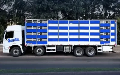 Serafini Transportes abre vagas para Motoristas de Caminhões Truck em SC