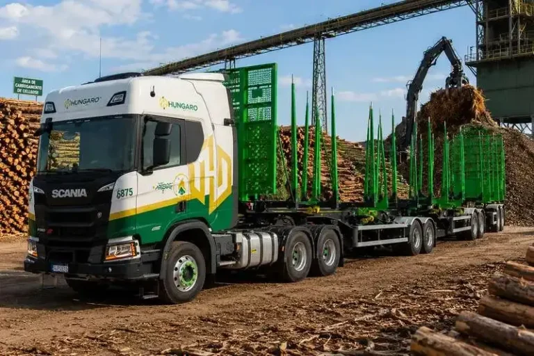 Hungaro Transportes: Vagas para Motorista de Tritrem em Ribas (MS)