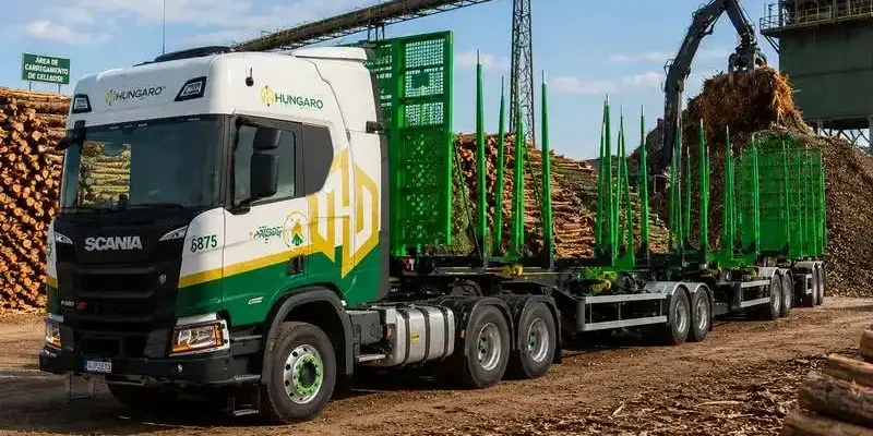Hungaro Transportes: 50 Vagas para Motoristas de Tritrem em Ribas do Rio Pardo (MS)