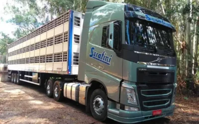 Serafini Transportes: Vagas para Motoristas CNH C e E em SC