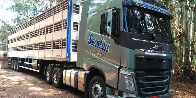 Serafini Transportes: Vagas para Motoristas CNH C e E em SC