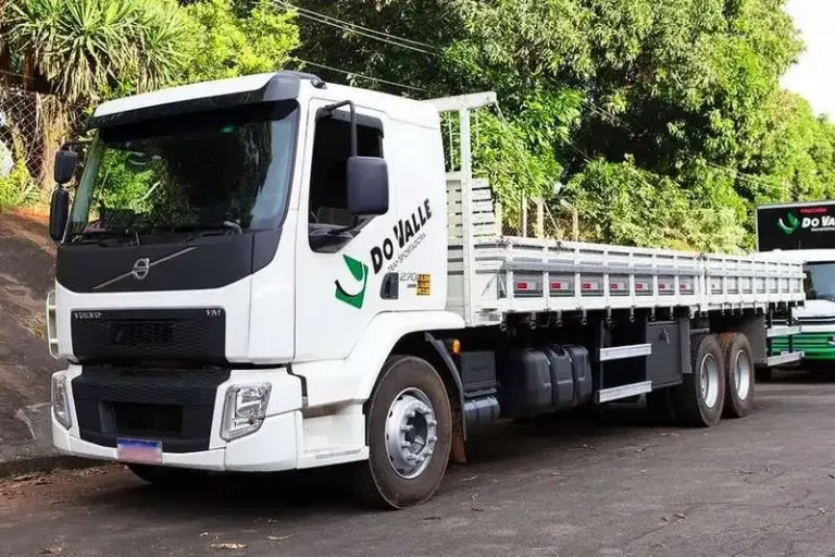 Transportadora Do Valle: Vagas para Motoristas Categoria D em Goiânia