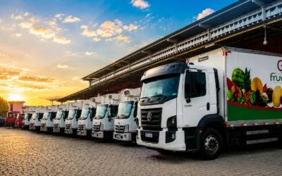 Vaga para Motorista de Caminhão Truck e 3/4 – Grupo Fruvele em Simões Filho, BA