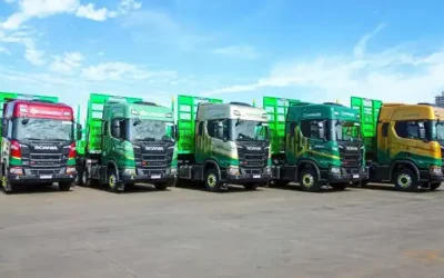 Hungaro Transportes Abre Vagas para Motoristas de Tritrem em Três Lagoas (MS)