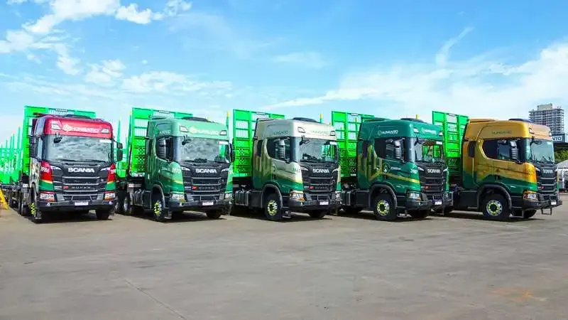 Hungaro Transportes: Vagas para Motoristas de Tritrem em Três Lagoas
