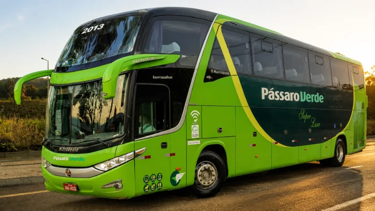 Vagas Pássaro Verde: Motorista Rodoviário em Minas Gerais