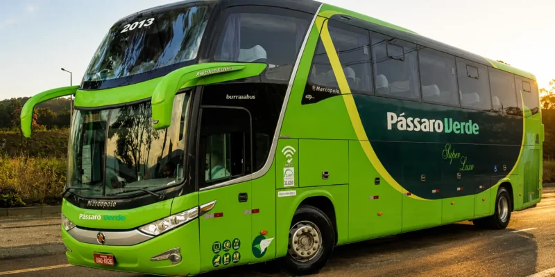 Pássaro Verde: Vagas abertas para Motorista Rodoviário em MG