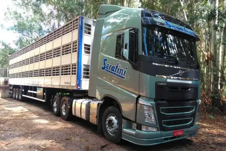 Serafini Transportes: Vagas para Motoristas de Caminhão em SC