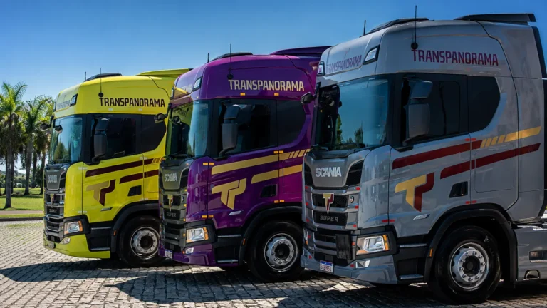 Vaga Motorista Carreteiro Câmara Fria Transpanorama | CNH E