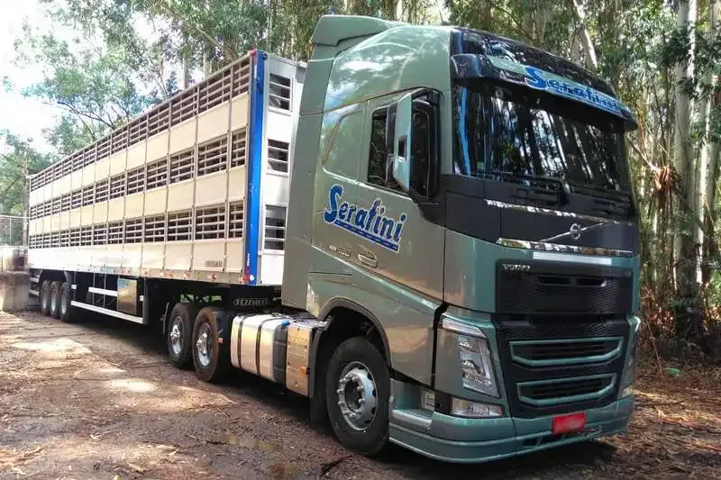 Serafini Transportes: Vagas para Motoristas CNH C e E em SC/PR