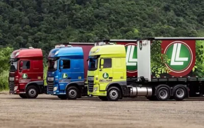 Dellmar Transportes Contrata: Motoristas CNH D e E em SP e ES