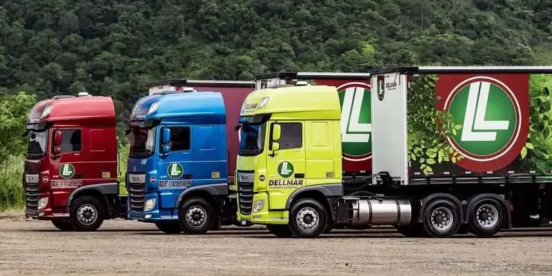 Dellmar Transportes Contrata: Motoristas CNH D e E em SP e ES