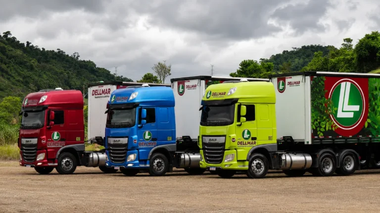 Dellmar Transportes: Vagas Motorista CNH D/E | ES e SP