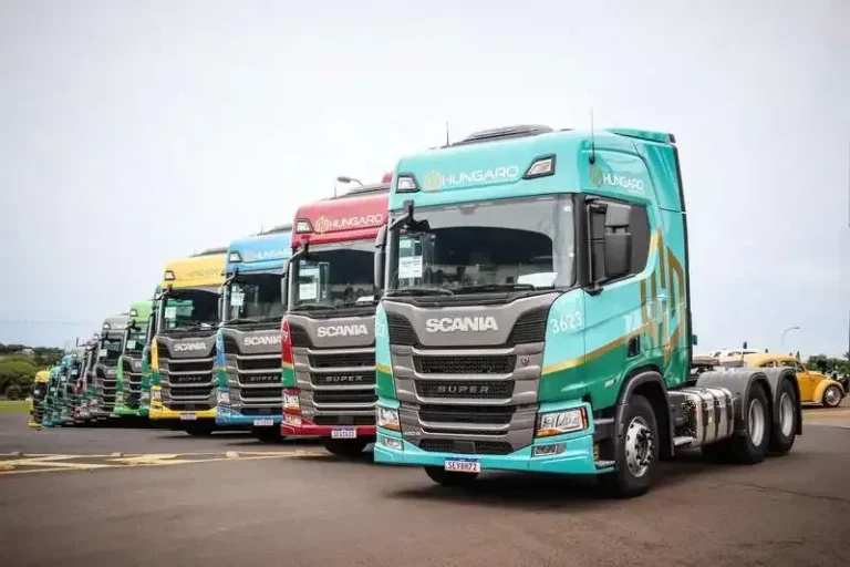 Hungaro Transportes: 40 Vagas para Motoristas Carreteiros CNH E