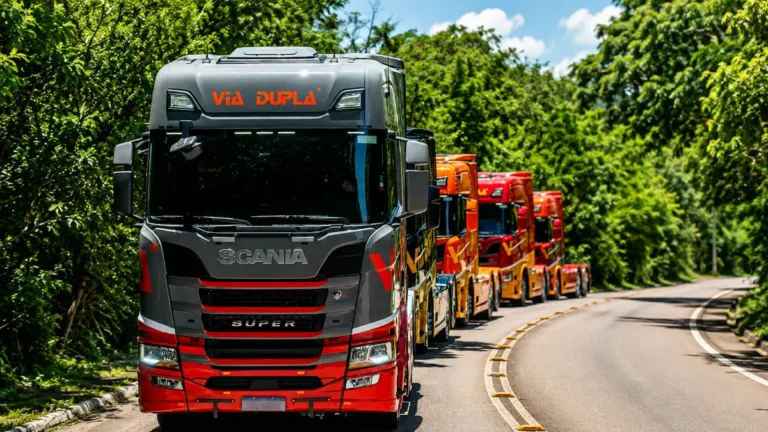 Via Dupla Contrata Motoristas Carreteiros CNH E em Araucária (PR)
