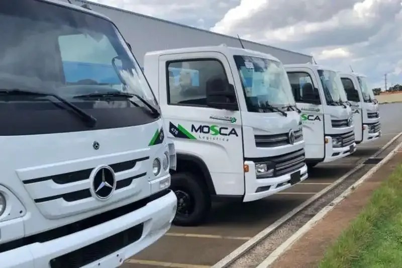 Mosca Logística: Vagas Motorista CNH D em Campinas e Santos
